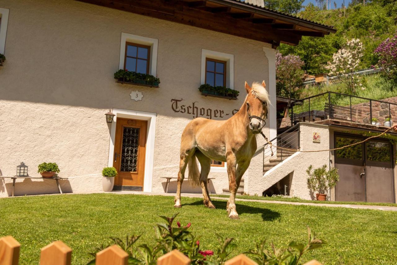 Chalet Tschogerhof Tiers Am Rosengarten Dolomiten Екстер'єр фото