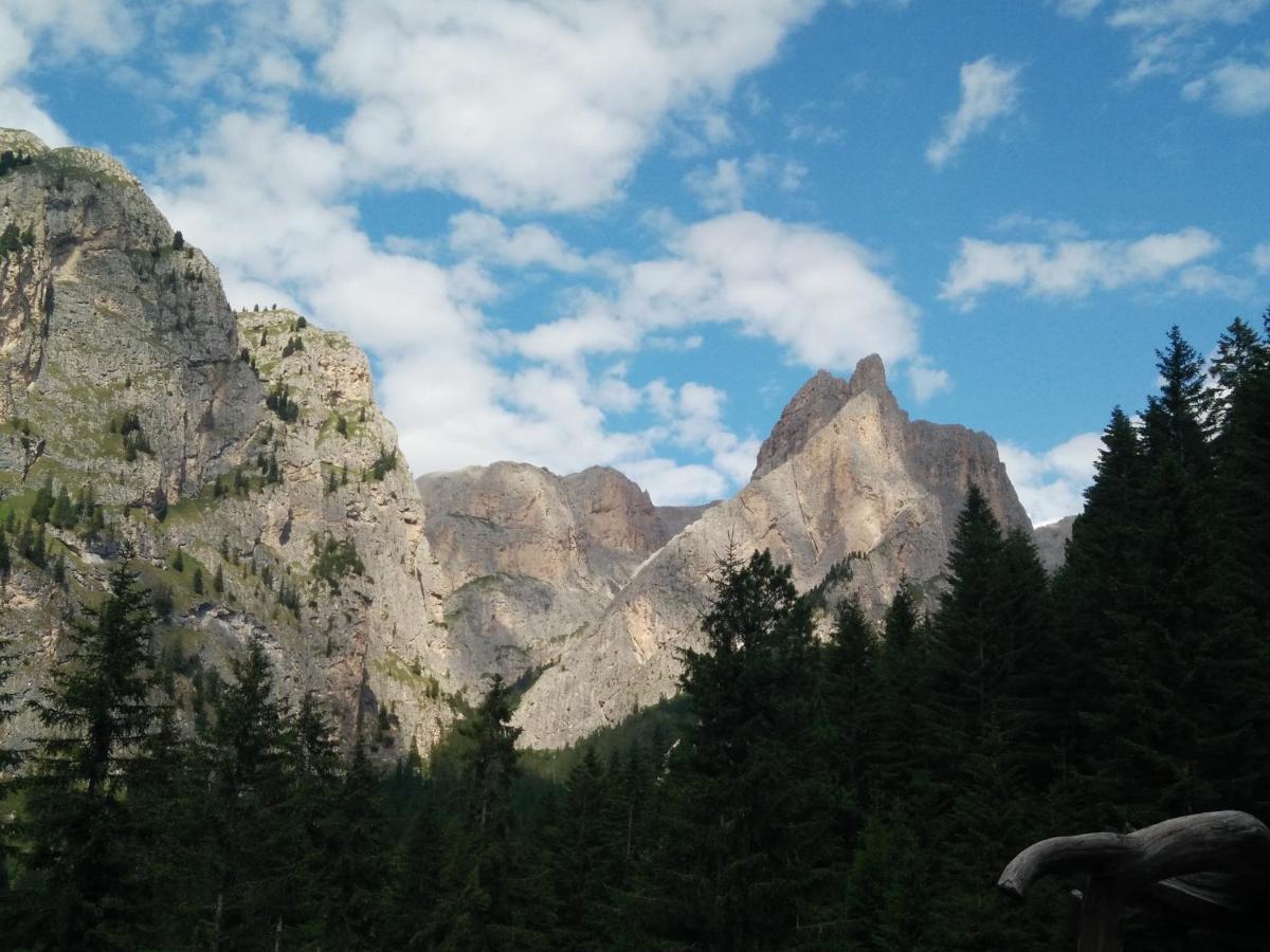 Chalet Tschogerhof Tiers Am Rosengarten Dolomiten Екстер'єр фото