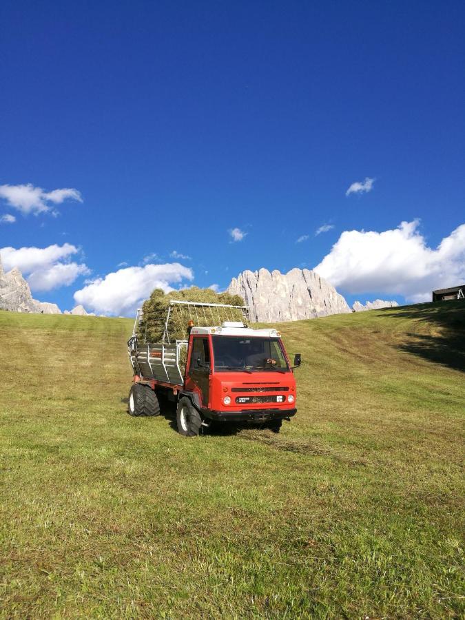 Chalet Tschogerhof Tiers Am Rosengarten Dolomiten Екстер'єр фото